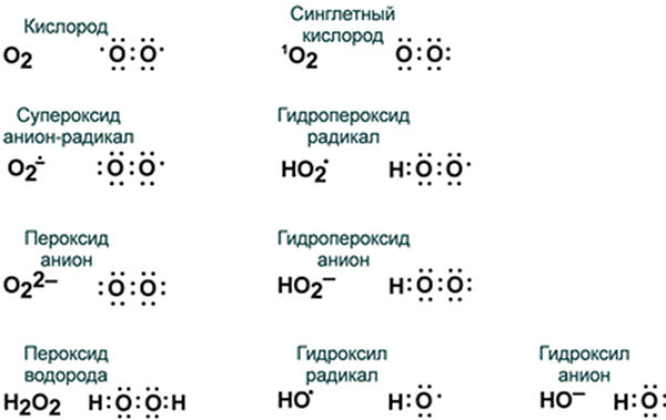 Пероксид водорода кислород. Супероксид анион радикал. Супероксид анион кислорода. Упероксиданион-радикала,. Формулы активных форм кислорода.