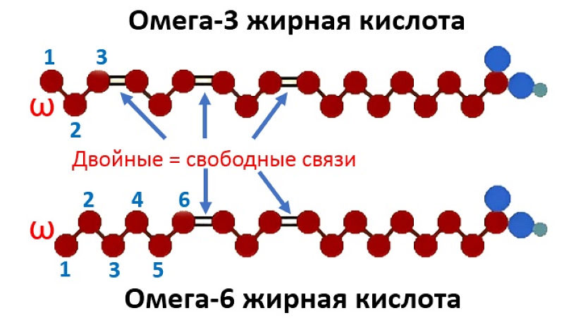 3 жирных кислот. Омега 3 линоленовая кислота. Омега 3 жирные кислоты формула. Омега-3 и Омега-6 жирные кислоты формулы. Омега жирные кислоты 3 6 9 формулы.